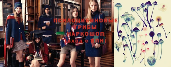 прущие крисы Алексин