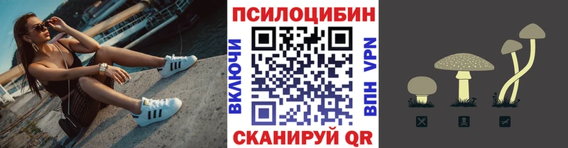 что такое   дарк нет клад  Псилоцибиновые грибы Magic Shrooms  Берёзовка 