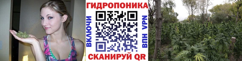 МЕГА вход  Берёзовка  Каннабис Amnesia 
